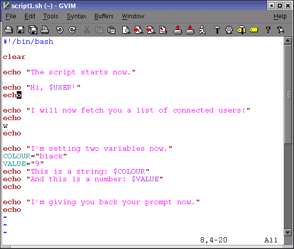 Example script using statements like "echo hello", "echo hello $USER" and "VARIABLE=value".