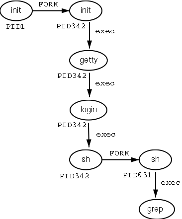 Fork creates a new process with the same content as the parent in memory but a different PID, exec replaces the content with the actual data to be processed, PID stays the same.